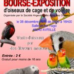 Image de Société angevine des amis des oiseaux (SAAO)
